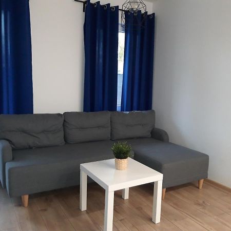 Appartement Domek W Parku à Hel Extérieur photo